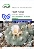 SAFLAX - Kakteen - Peyotl Kaktus  - 20 Samen - Lophophora williamsii