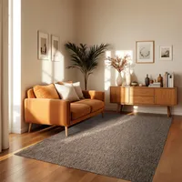 TT Home Teppich Für Outdoor Küchenteppich Balkon Terrasse Unifarbenes Design Modern Größe 240x340 cm