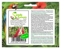 10x Sesbania grandiflora Turi Baum Garten Pflanzen - Samen ID166