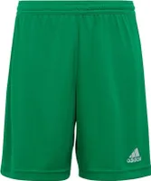 Adidas Kalhoty Entrada 22 JR, IC7410, Größe: 159