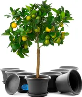 BigDean 8 Stück Blumentopf mit Untersetzer rund ø 35 cm Anthrazit – wetterfester Pflanzkübel  Europe