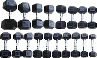 Toorx Fitness MEG Hexagon Dumbbell - na kus - 17,5 kg