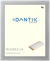 DANTIK rámeček 40x50 | LEDVINKA bílá (Plexi Čiré)