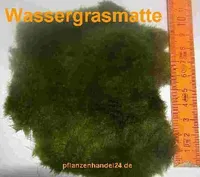 1 Matte Wassergras (ca. 80 cm²) Wassergrasmatte