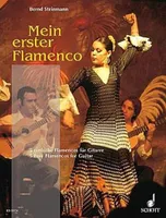 Mein erster Flamenco, Gitarre