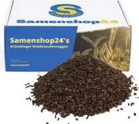 Samenshop24® Waldstaudenroggen Secale multicaule 1kg für ca. 65 m²