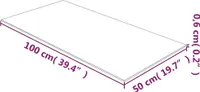 vidaXL Tischplatte Transparent 50x100 cm Hartglas