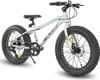 HILAND 20 Zoll Kinderfahrrad mit 4.0 Fat Tire, Shimano 7-Gang, Geeignet für Strand, Schnee, Kinder Mountainbike Jungen Mädchen, Weiß