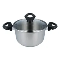 Fleischtopf EUROHOME Universaltopf 20 cm für Induktion mit Glasdeckel - Kochtopf Edelstahl Topf für Suppen und als Bratentopf mit Deckel