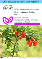 SAFLAX - Geschenk Set - Chili - Habanero Antilles Red - 10 Samen - Mit Geschenk- / Versandbox, Versandaufkleber, Geschenkkarte und Anzuchtsubstrat - Capsicum chinense