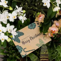 Postkarte: Weihnachten