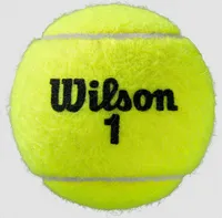 WILSON Roland Garros All Court 4 Ball