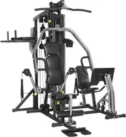 Horizon Fitness Kraftstation Torus 5