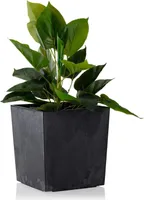 HowHomely Blumentopf Flore 19 cm Höhe, Pflanzkübel, Schwarz Übertopf für garten balkon