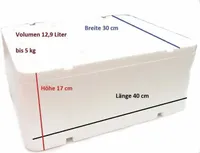 PRIMA Styroporbox Thermobox mit Deckel 12,94 L / 400 x 300 x 173 mm Camping