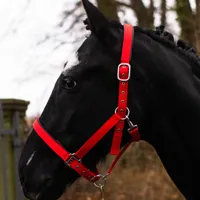 Halfter für Pony – Stallhalfter, Weidehalfter, 2-Fach verstellbare Dornschnallen, sicher & reißfest (Rot, Pony)