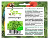 30x Rundblättrige Perlkraut Micranthemum umbrosum Aquarium Pflanzen - Samen #39