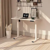 Flexispot Elektrisch Höhenverstellbarer Schreibtisch 120X80 mit Tischplatte 2-Fach-Teleskop, mit Memory-Steuerung