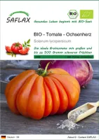 SAFLAX - BIO - Tomate - Ochsenherz - 10 Samen - Solanum lycopersicum