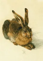 Kunstkarte Albrecht Dürer "Der Hase"