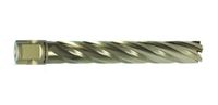 HSS-XE Kernbohrer,  Nitto/Uni-Schaft 19mm, Nutzlänge 110mm,  Gold-Line110                 d=18mm
