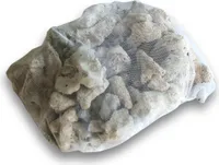 SunSun 0,5kg Aquarium Korallensand, sehr grober Sand für die Besiedlung mit nitrifizierenden Bakterien im Filter, für Teich- und Aquariumfilter