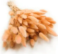 Getrocknete Hasenschwanzgras - (Lagurus) - Pfirsich