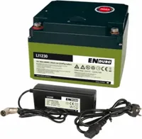 Lithium-Ionen Akku Batterie LI1230 30Ah LiFePO4 mit Ladegerät für Rangierhilfen