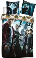 Harry Potter Bettwäsche "Zauberstab" 135 x 200cm 80x80cm