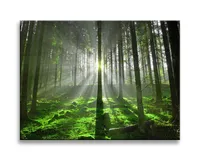 Obraz na plátně lesní stromy 4306 - Obraz/nástěnný obraz/umělecký tisk je připraven zarámovat 40 x 30 cm