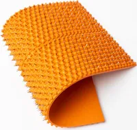 Lyapko Massagematte „Schans“ 4.9 AG – Akupressur & Reflexzonenmassage (105x230 mm), Massagematte, Akupressurmatte, Nadelmassage, Wellness, Shiatsu.