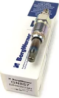 Świeca żarowa/płomieniowa BORGWARNER (BERU) GN857