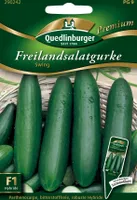 Quedlinburger Saatgut - Gurken Freilandsalat- Swing - Samen - 290242