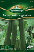 Quedlinburger Saatgut - Gewächshausgurken Bella - Samen - 290257