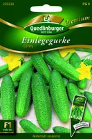 Quedlinburger Saatgut - Einlegegurken Conny - Samen - 290236