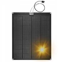 NEO TOOLS Panel słoneczny przenośny 100W, ładowarka solarna