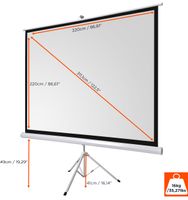 celexon basic 125" Zoll Stativ-Leinwand 1:1 | 220x220cm | 4K Full HD 3D | für Outdoor- & Heim-kino Beamer-Projektionen