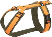 anny-x Hundegeschirr Fun oliv / orange Größe L