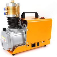30MPA 4500PSI Elektrisch PCP Luftkompressor Kompressorpumpe Hochdruck Luftpumpe für Hochdruckprüfung, Flaschen, Automobile