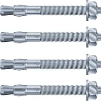 Wolfa Fixanker für Lichtschacht 220 mm