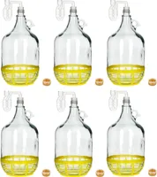 6x 5L Flasche +Gummistopfen + Gärröhrchen Gärballon Set Weinballon Gärbehälter
