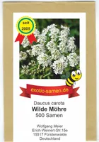 Wilde Möhre – alle Teile essbar – Insektenmagnet - heimisch – 500 Samen