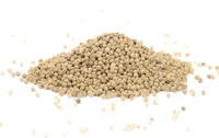 Pfeffer weiß (ganz) - weiße Pfefferkörner für die Mühle - 70g