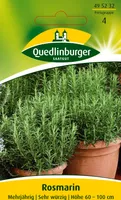 Quedlinburger Saatgut - Rosmarin - Samen - 495232
