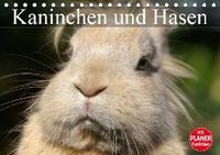 Kaninchen und Hasen (Tischkalender 2019 DIN A5 quer)