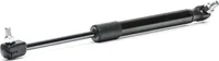 RIDEX 514G0009 Motorhaubendämpfer vorne