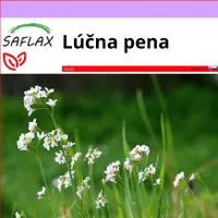 SAFLAX - lúčna pena - Cardamine pratensis - 100 Semená