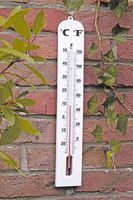 BURI Jumbo Gartenthermometer Außenthermometer 6,5 x 40 Thermometer Temperaturanzeige