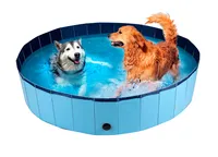 Hundepool Schwimmbad für Hunde Swimmingpool