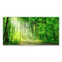 Tulup Leinwand-Bilder Wandbild Leinwandbild 140x70 Wald Natur 